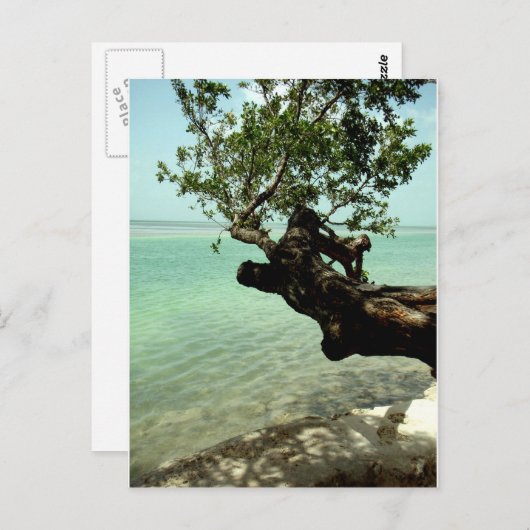 楽園 ポストカード (正面/裏面)