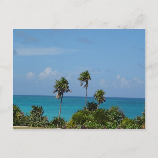 楽園 ポストカード (正面)