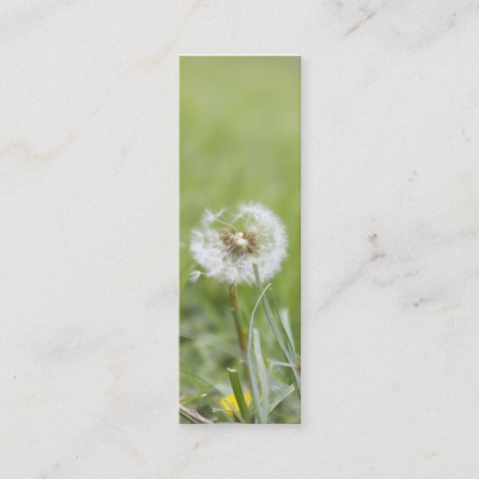 楽天主義の細い名刺 スキニー名刺 (正面)