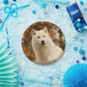 楽天主義 ペーパープレート (パーティー)