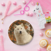 楽天主義 ペーパープレート (パーティー)