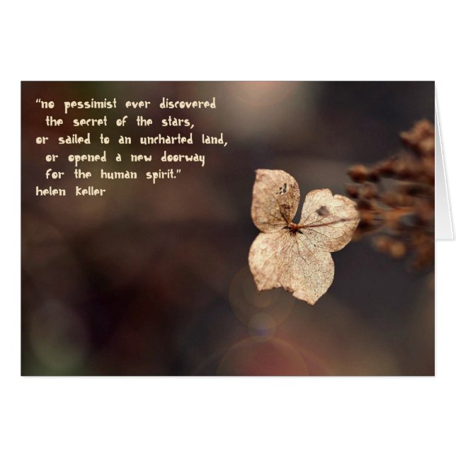 楽天家 (正面横)