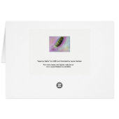 楽死のカード (裏面横)