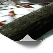 楽観的なフクロウ ポスター (角)