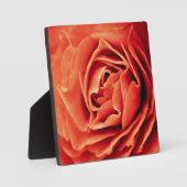 楽観的な生活 フォトプラーク (正面)