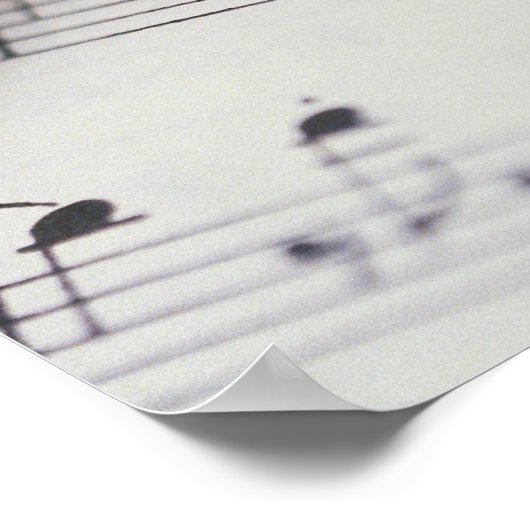 楽譜の笛 ポスター (角)