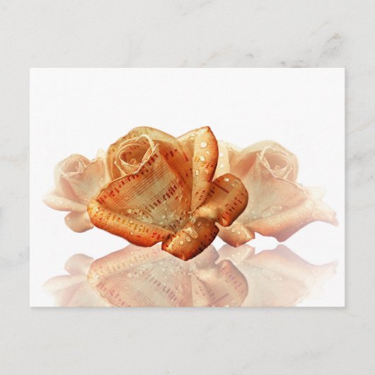 楽譜付きの珊瑚色のバラの花 ポストカード (正面)