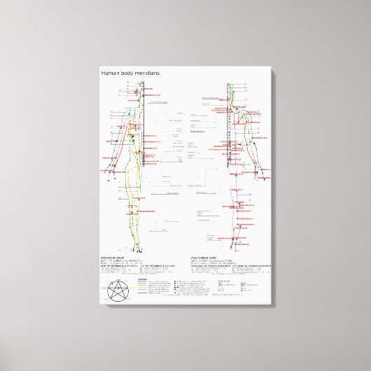 概念図人間中国の体経絡 キャンバスプリント (正面)