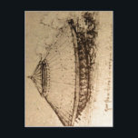 概要説明レオナルド・ダ・ヴィンチ、デザイン ポストカード<br><div class="desc">概要説明レオナルド・ダ・ヴィンチ、タンク用デザイン(私は一度だけタンクを作った) Bortoron, The Life and Times of レオナルド, Paul Hamlyn 15-early 16th century作家レオナルド・ダ・ヴィンチ許可この画像を再利用するPDArtセンターは、短い用語Asturiansch Catalのルールをを実装を失効したDeutansk English Esperanto A?Espanto Easo Eaisフラン?Euska?Eais Euskai Galego Italiano Lietuvi Magyar Nederlands Norsk (nynorsk) Platd??tsch Polski Poutgu?s Rom?n Slovenina Shqip Suomi S?megiella T?rk?e () ()正式なポジションesky Deutsch English Espa?olフラン?Italiano Magyar Nederlands Ski Pours Sloveno?s Rovena?s Rovena?s?s Rovener?s Rom?s?s Lovener...</div>