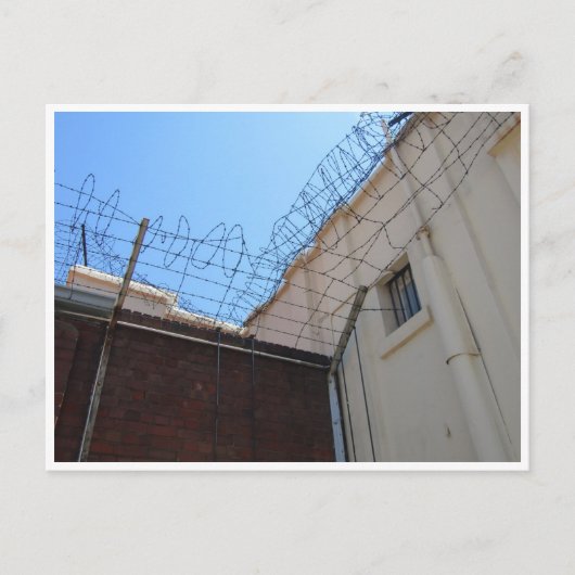 構成ヒルバードワイヤー ポストカード (正面)