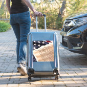 構成ビニールシール シール (スーツケースインサイチュ)