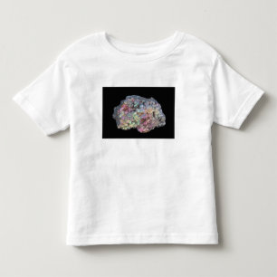 構造色を示す針鉄鉱 トドラーTシャツ