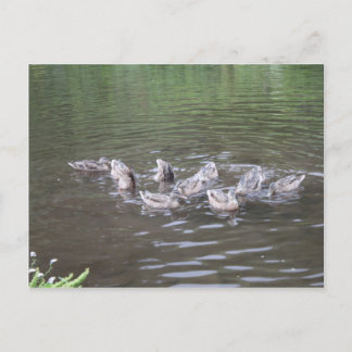 様々なアラスカの風景 ポストカード