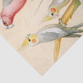 様々なインパケート、デコページ 薄葉紙 (詳細)