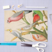 様々なインパケート、デコページ 薄葉紙 (クラフト)