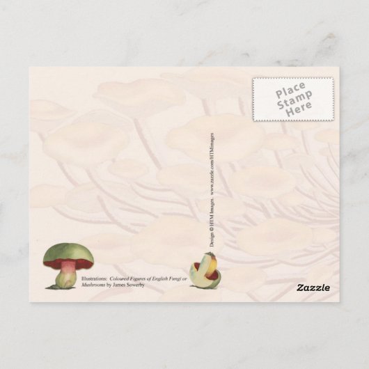 様々なキノコ ポストカード (裏面)