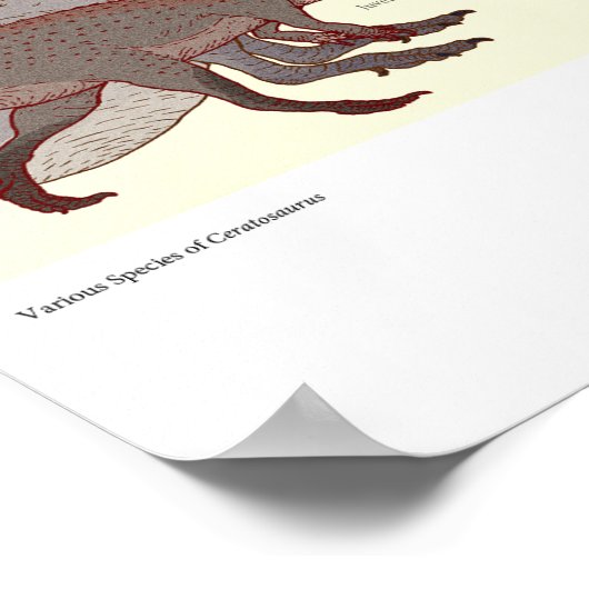 様々なセラトサウルス種 ポスター (角)