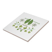 様々なハーブ タイル (側面)