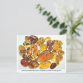 様々な昆虫介在物とドミニカ琥珀 ポストカード (スタンド正面)