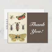 様々な昆虫+"ありがとう!"、ヴィンテージルック ポストカード (正面/裏面)