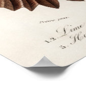 様々な種類の軟体動物 ポスター (角)