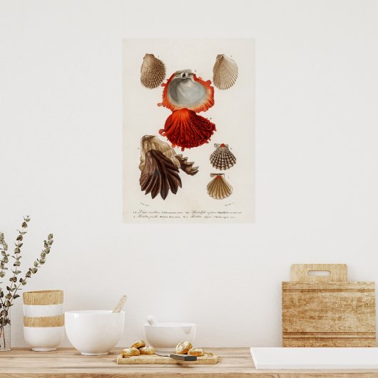 様々な種類の軟体動物 ポスター (キッチン)