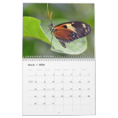 様々な蝶カレンダー カレンダー (3月 2026)