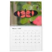 様々な蝶カレンダー カレンダー (2月 2026)