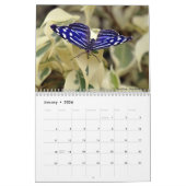 様々な蝶カレンダー カレンダー (1月 2026)