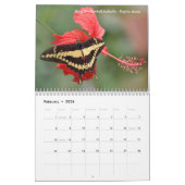 様々な蝶カレンダー カレンダー (2月 2026)