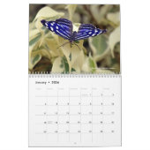 様々な蝶12ヶ月カレンダー カレンダー (1月 2026)
