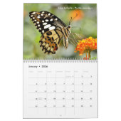 様々な蝶12ヶ月カレンダー カレンダー (1月 2026)