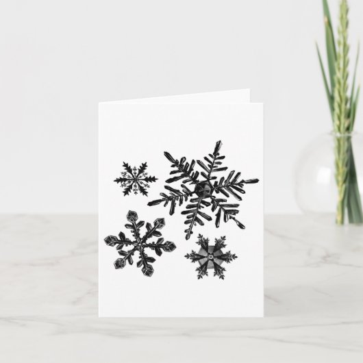 様々な雪の結晶の種類 クリスタル 雪の結晶 クリスマス カード (正面)