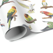 様々カラフルな ラッピングペーパー (ロールコーナー)