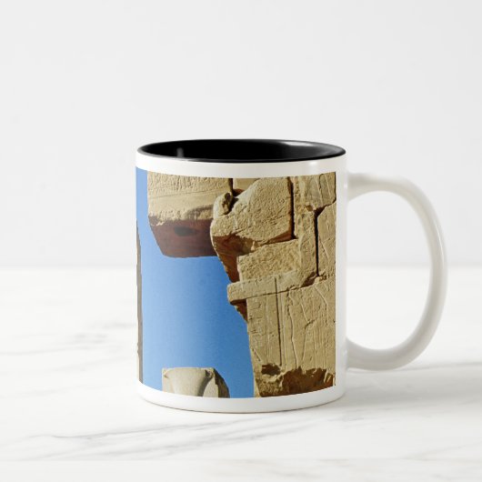 様式化されたはすと飾られる柱 ツートーンマグカップ (右)