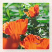 様式化されたガーデンレッドオレンジポピーの花 ガラスコースター (正面)