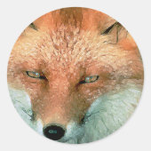 様式化されたキツネシール ラウンドシール (正面)