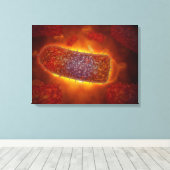 様式化された狂犬病ウイルス粒子2 キャンバスプリント (インサイチュ (ウッドフロア))