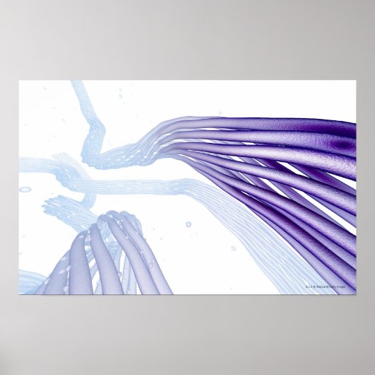 様式化された神経線維 ポスター (正面)