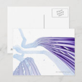 様式化された神経線維 ポストカード (正面/裏面)