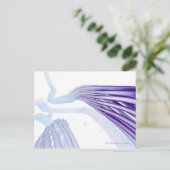 様式化された神経線維 ポストカード (スタンド正面)