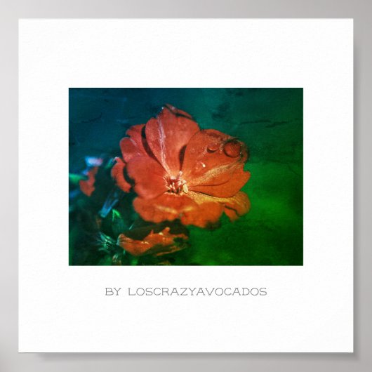 様式化された赤い緑のゼラニウムの花のポスター ポスター (正面)