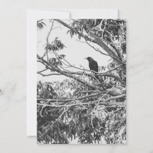 様式化された高コントラストのアメリカのゴシック様式のクロウアート シーズンカード (正面)