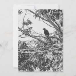 様式化された高コントラストのアメリカのゴシック様式のクロウアート シーズンカード