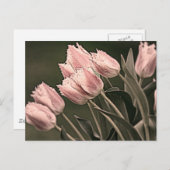 様式化チューリップ ポストカード (正面/裏面)