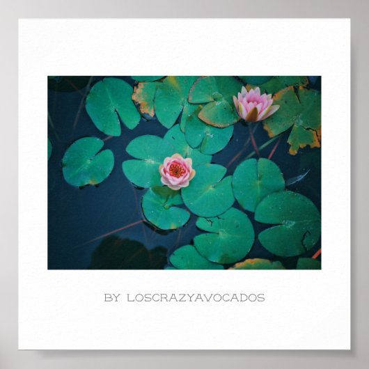 様式化ピンクの睡蓮の花の植物ポスター ポスター (正面)