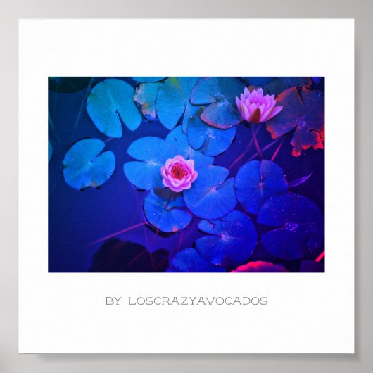 様式化ピンクの睡蓮の花の植物ポスター ポスター (正面)