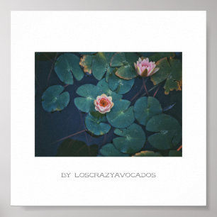 様式化ピンクの睡蓮の花の植物ポスター ポスター