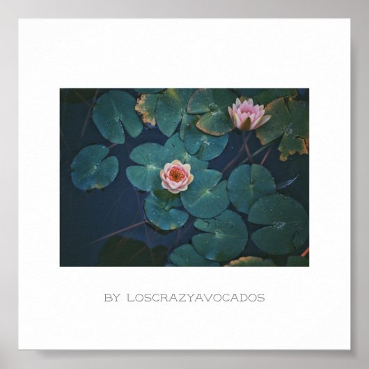 様式化ピンクの睡蓮の花の植物ポスター ポスター (正面)
