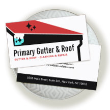 樋の屋根の清掃と修復